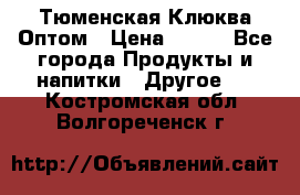 Тюменская Клюква Оптом › Цена ­ 200 - Все города Продукты и напитки » Другое   . Костромская обл.,Волгореченск г.